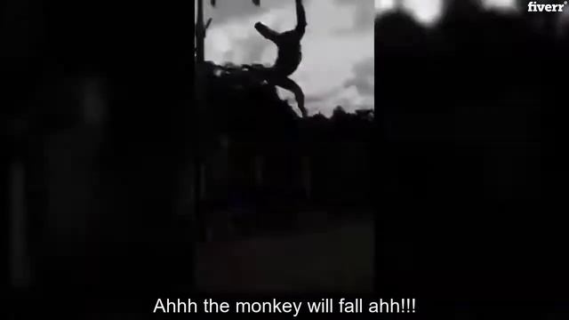 Subtitle and translate from portuguese or english - Best Subtitles & Captions service смотреть онлайн