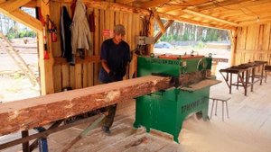 Небольшой многопил пилит 30 кубов