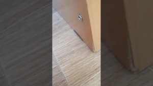 как закрутить шестигранный болт без шестигранника?