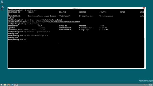 C2 Server with Docker, Nginx and Metasploit смотреть онлайн