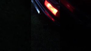 Carina ED 3S GTE