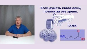 Как "улучшить" свой мозг с помощью ГАМК (GABA)?