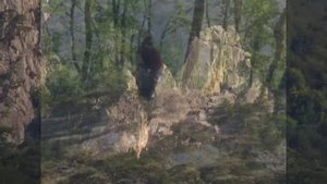 Горные озёра над Гурзуфом