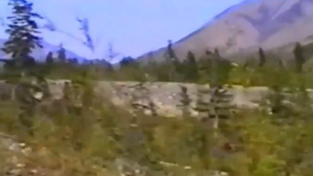начало пути -  нежданинское
