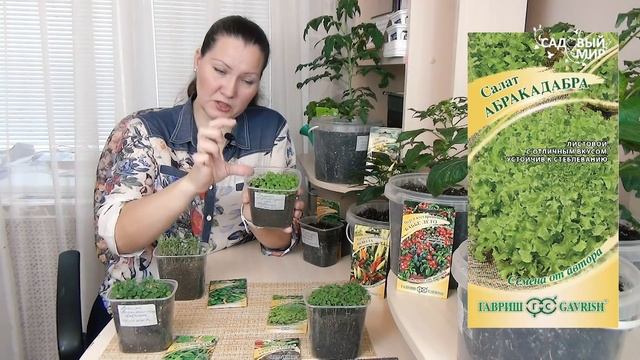 Микрозелень и выращивание овощей зимой в квартире. смотреть онлайн