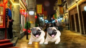 Кибер мопсы 1 серия | Анимация Мопсы