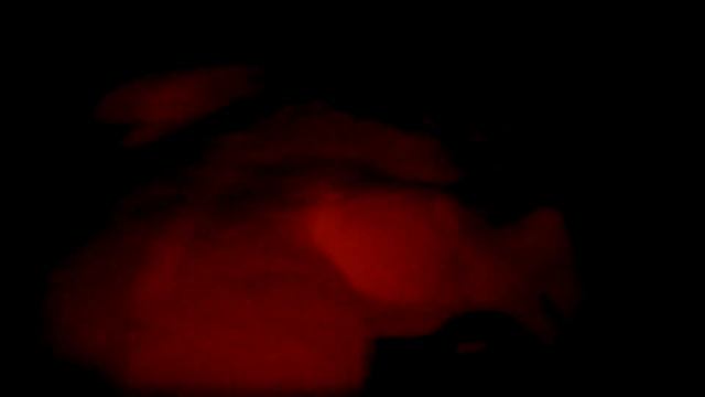 Energizer 300 лм - тест ночью в лесу. Налобный фонарь смотреть онлайн