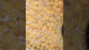 ГОТОВЛЮ ЦУКАТ ИЗ БЕЛОЙ ЧЕРЕШНИ