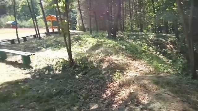 д. Петуховка. Чаусская криница. Родники Байково - место природной силы.
