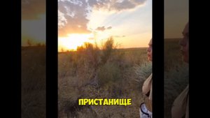 Путешествие LIFEforWOOD по Астраханской области часть5