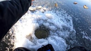 ЛОВЛЯ ОКУНЯ ЗИМОЙ. Рыбинское водохранилище