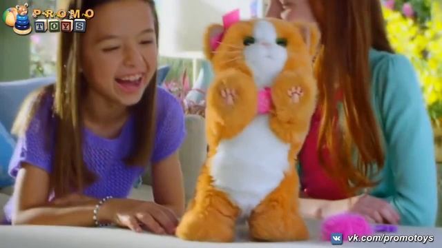 Дэйзи, игривый котенок (FurReal Friends Daisy Kitty)