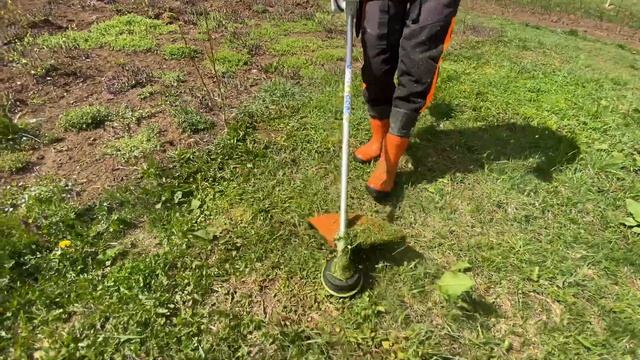Cutting fresh grass for the first time this year with Stihl Fsa 130 battery powered brushcutter. смотреть онлайн