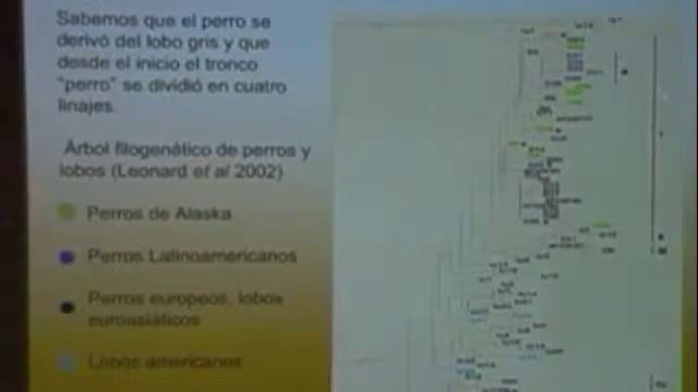 Diálogos De Ciencia 2011 El Xoloitzcuintle