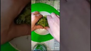 Лайфхак! Ни когда ни выбрасывайте шкурки от авокадо ?