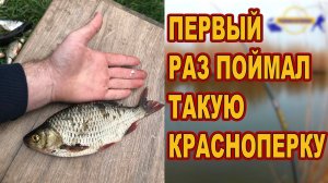 ПЕРВЫЙ РАЗ ПОЙМАЛ ТАКУЮ КРАСНОПЕРКУ /// Рыбалка на Кубани 2023 /// Выпуск № 33