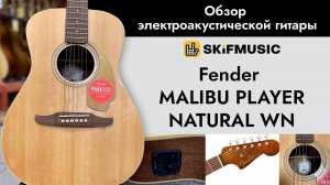 Обзор электроакустической гитары Fender MALIBU PLAYER NATURAL WN