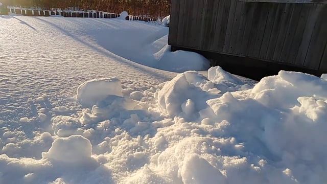 Жизнь прекрасна/дача/Заячий след!?))) зима