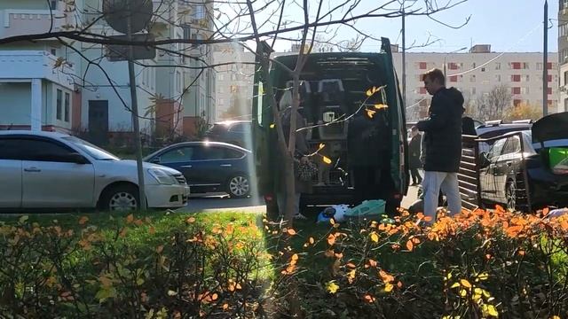 Алабай едет в Сербию\Нюансы\Цены\Перевозка животных в Европу из РФ смотреть онлайн