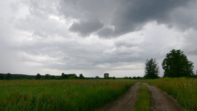 Поющие птицы во время грозы | Singing birds during thunderstorm