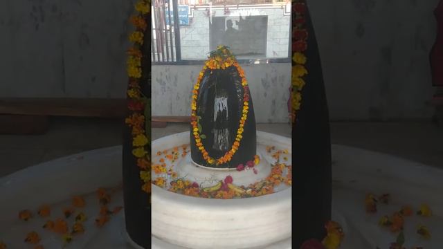 500 years old Lingam Mahadev Shiva Temple at Patiala India