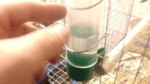 Установка дверцы и поилки в самодельной металлической клетке