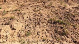 Шикарное побережье на Жигулевском море.