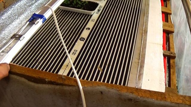 Мини тепличка для рассады - здесь вырастет всё! смотреть онлайн