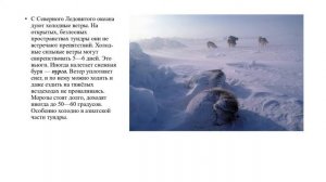 Климат. Водоемы тундры география 7 кл