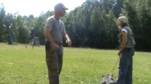 Дрессировка малинуа/Барт Беллон