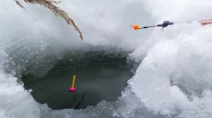 Под этой ВОЛШЕБНОЙ КОРЯГОЙ, ПОЛНО карася! Рыбалка на поплавок зимой