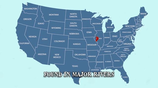 10 Most Dangerous Animals in the U.S.