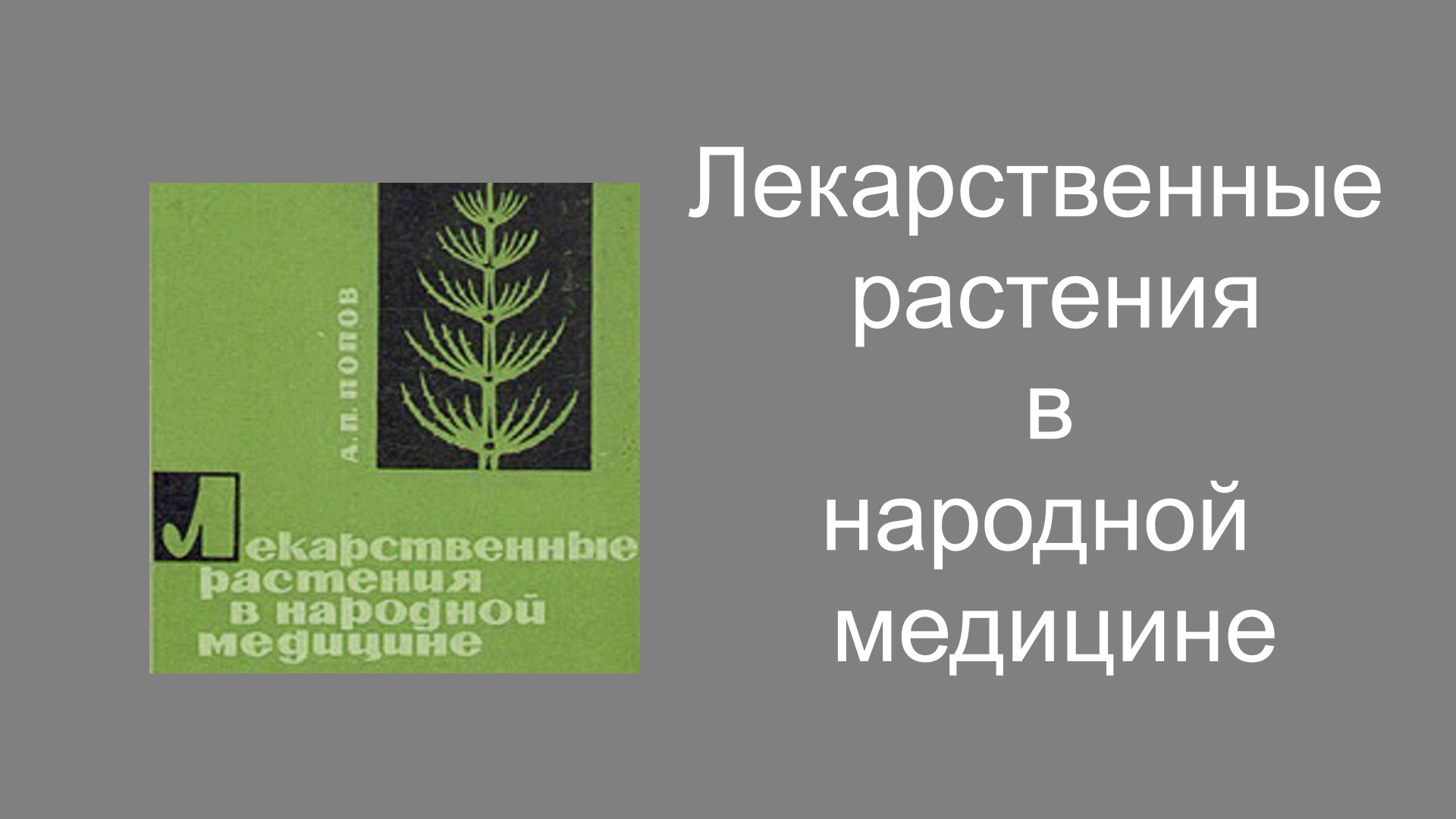 Лекарственные растения в народной медицине. Общие сведения