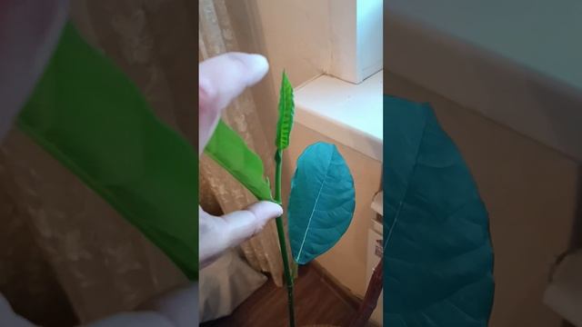 Выращивание джекфрута, экзотических растений
