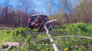 Часть-1. Таëжные заботы, Весна, Интересные истории из лесной жизни