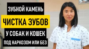Зубной Камень у Собак и Кошек. Чистка зубов собаке ультразвуком без наркоза и под наркозом