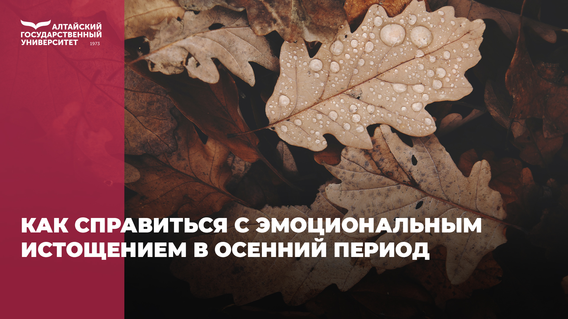 Как справиться с эмоциональным истощением в осенний период? | Вести Алтай