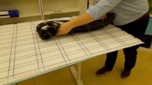 Видео-помощник "Как правильно сложить носилки"