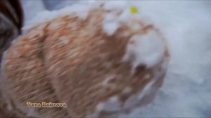 ,,Белый Снег"--Александр Терещенко. Очень Красивая Песня и Монтаж !!!