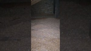 Утепление каркасного гаража. ч. 1 Потолок.