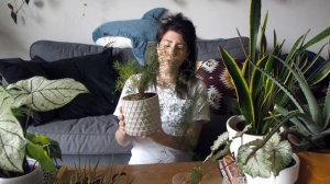 TOP 5 - Ces plantes que j'aime moins en ce moment ..!