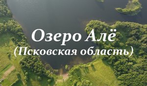 Озеро Алё (Миритиницкое озеро) - Локнянский район, Псковская область