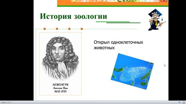 Признаки животных и принципы их классификации смотреть онлайн