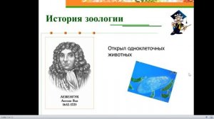 Признаки животных и принципы их классификации
