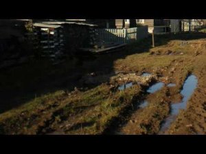 Зеркало моей души Том 1. Хорошо в стране советской жить... (часть 8)