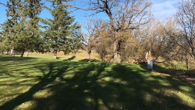 Мощная воздуходувка Stihl BR 700 в действии смотреть онлайн