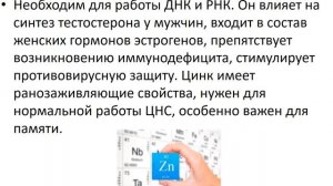 Химический состав живых организмов. Готовимся к ЕГЭ по биологии