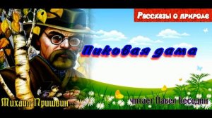 Пиковая дама— Михаил Пришвин —читает Павел Беседин