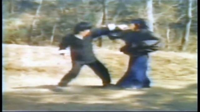 Return of Fist of Fury Bruce Packs