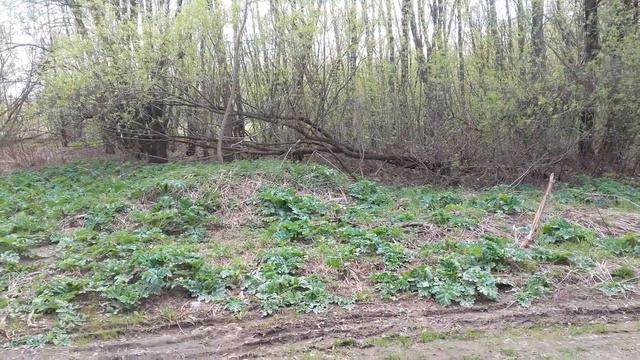 Тайны слов